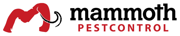 Mammoth-PestControl_Geotagged